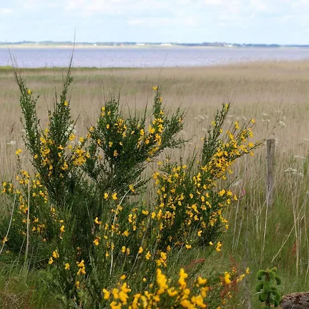 Seaside Serenity At Henne Strand-by Traum Feriehus *