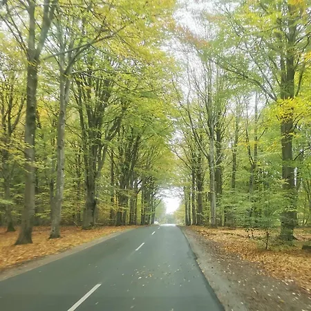 Seaside Serenity At Henne Strand-by Traum Henne Strand
