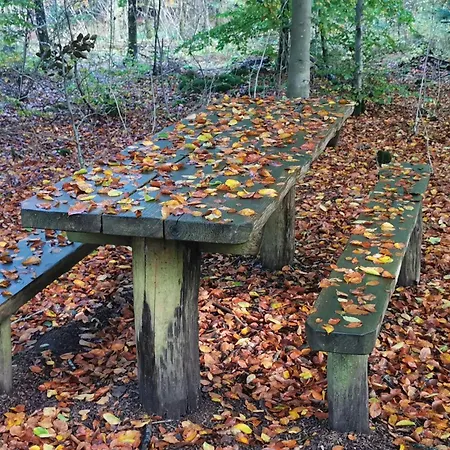Seaside Serenity At Henne Strand-by Traum * Henne Strand
