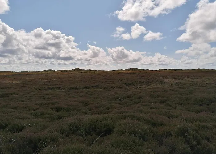 Seaside Serenity At Henne Strand-by Traum בית נופש האנה סטרנד