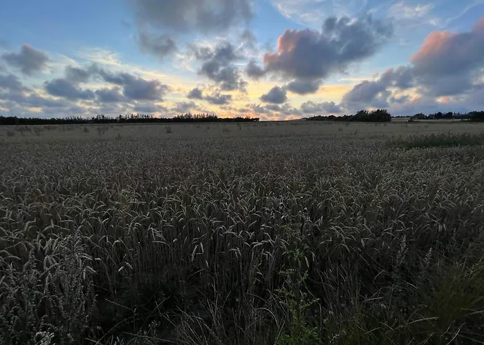 Seaside Serenity At Henne Strand-by Traum *