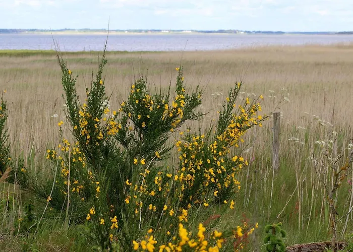 Seaside Serenity At Henne Strand-by Traum בית נופש *