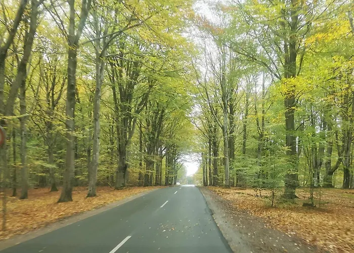 Seaside Serenity At Henne Strand-by Traum האנה סטרנד