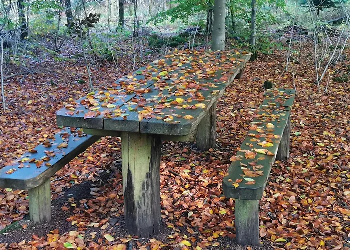 Seaside Serenity At Henne Strand-by Traum * האנה סטרנד
